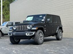 
										Jeep Wrangler full									