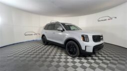 
										Kia Telluride full									