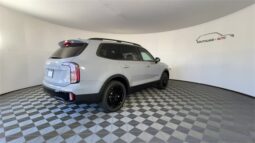 
										Kia Telluride full									