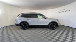 
										Kia Telluride full									