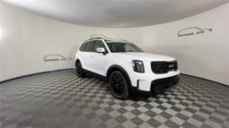 
										Kia Telluride full									