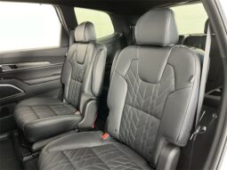 
										Kia Telluride full									