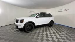 
										Kia Telluride full									