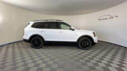 
										Kia Telluride full									