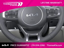 
										Kia Sportage full									