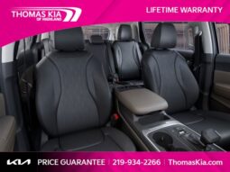 
										Kia Carnival full									