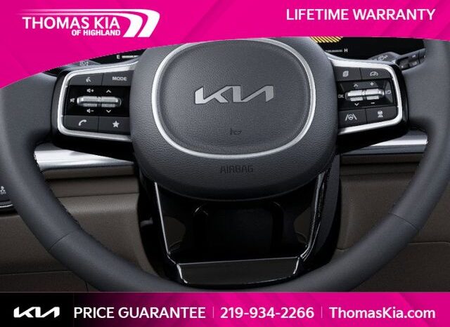 
								Kia Carnival full									