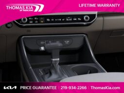 
										Kia Carnival full									