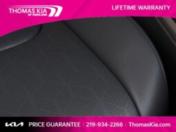 
										Kia Carnival full									