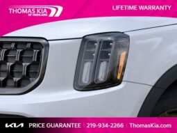 
										Kia Telluride full									