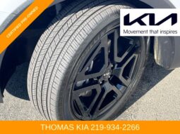 
										Kia Telluride full									