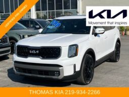 
										Kia Telluride full									