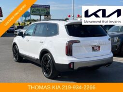 
										Kia Telluride full									