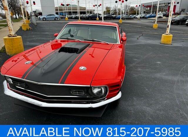 
								Ford Mustang full									
