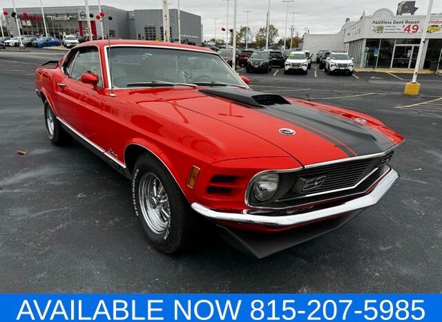 
								Ford Mustang full									