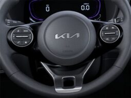 
										Kia Soul full									