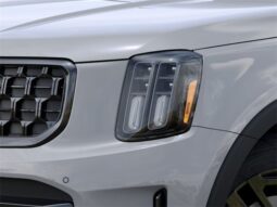 
										Kia Telluride full									