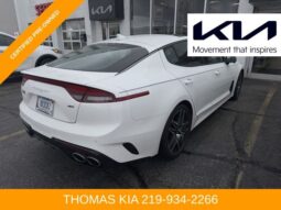 
										Kia Stinger full									