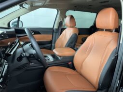 
 Kia Carnival full									