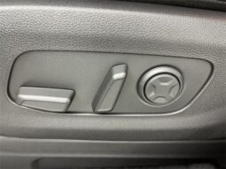 
 Kia Carnival full									