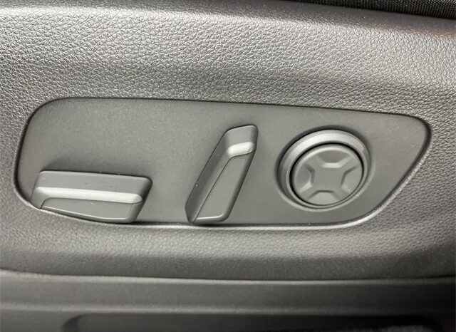 
 Kia Carnival full									