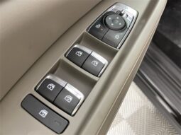 
 Kia Carnival full									