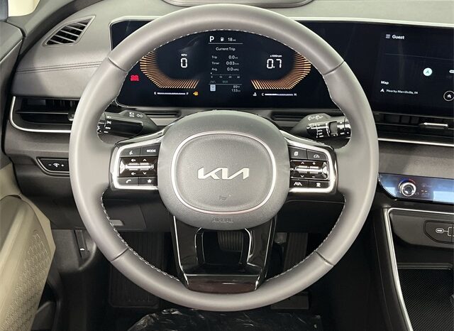 
 Kia Carnival full									