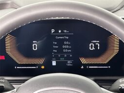 
 Kia Carnival full									