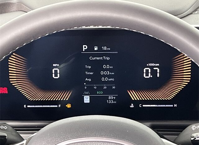 
 Kia Carnival full									