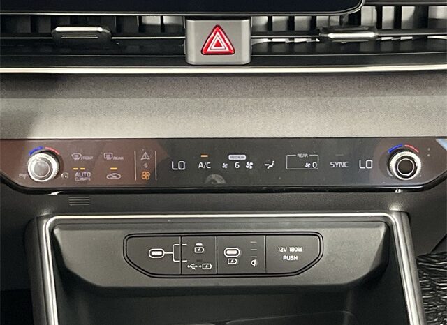 
 Kia Carnival full									