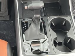 
 Kia Carnival full									