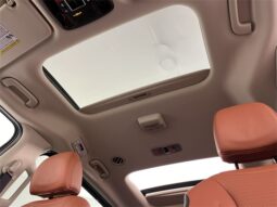 
 Kia Carnival full									