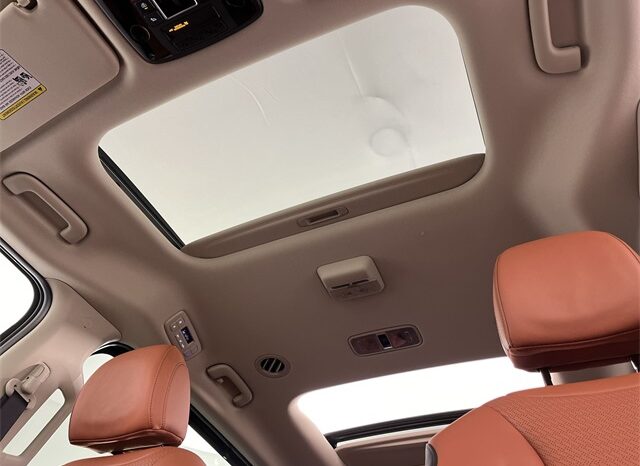 
 Kia Carnival full									