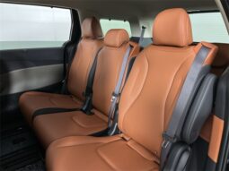 
 Kia Carnival full									
