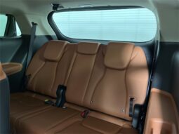 
 Kia Carnival full									