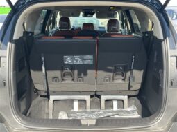 
 Kia Carnival full									