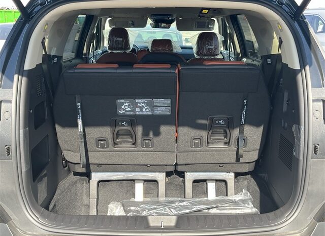 
 Kia Carnival full									