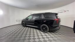 
 Kia Carnival full									