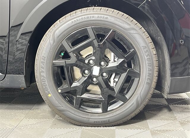 
 Kia Carnival full									