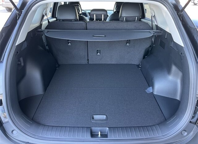 
								Kia Sportage full									