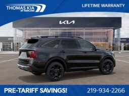 
										Kia Sorento full									