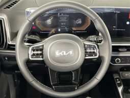 
										Kia Sorento full									