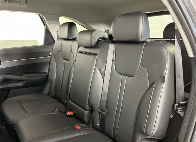 
								Kia Sorento full									