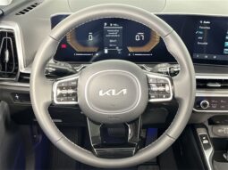 
										Kia Sorento full									