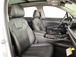
										Kia Sorento full									