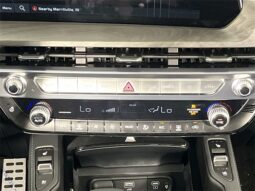 
										Kia Telluride full									
