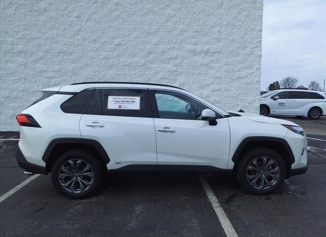 
								Toyota RAV4 Hybrid full									