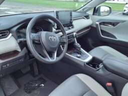 
										Toyota RAV4 Hybrid full									