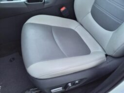 
										Toyota RAV4 Hybrid full									