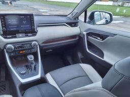 
										Toyota RAV4 Hybrid full									